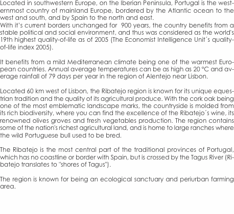 Located in southwestern Europe, on the Iberian Peninsula, Portu